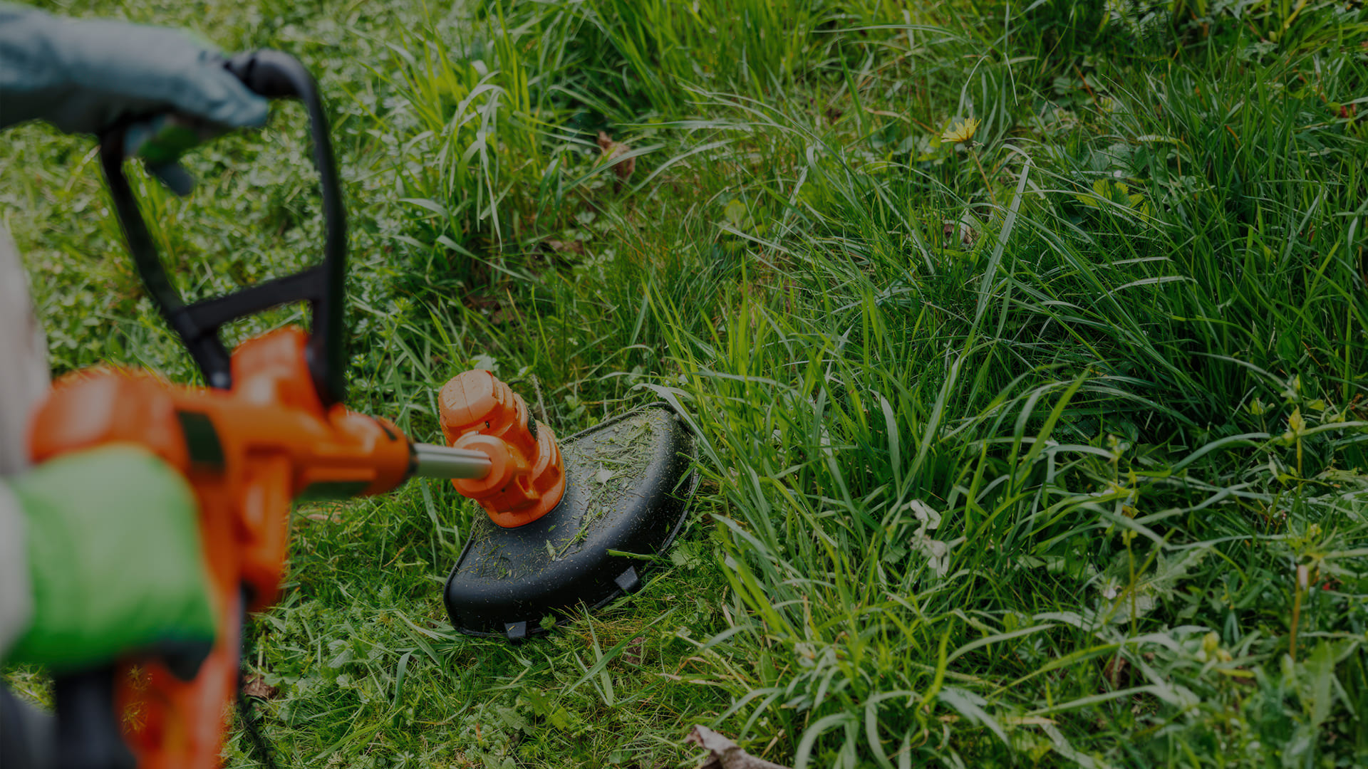 Soluzioni per l’agricoltura